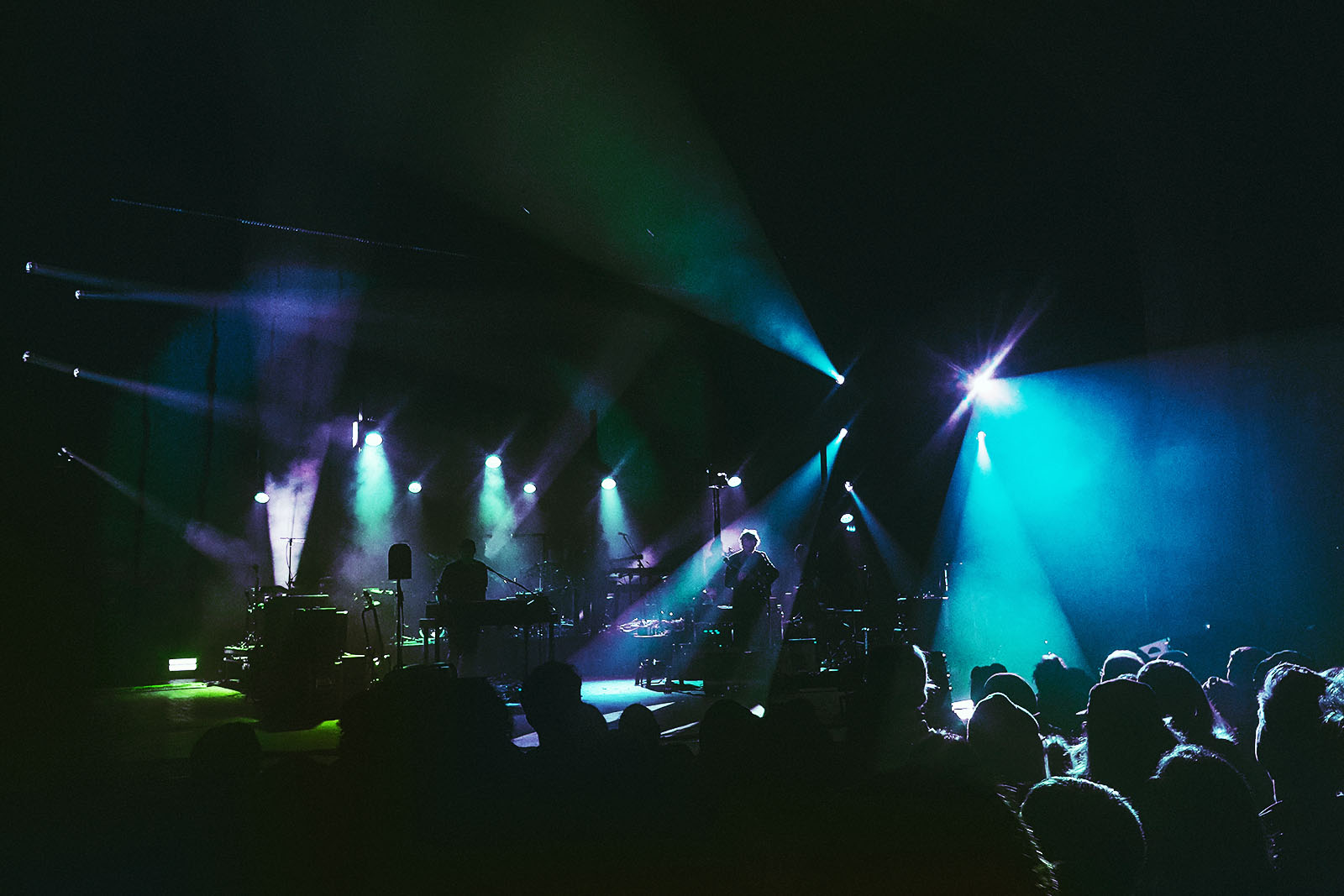 image of The Bees Knees